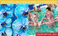 Orchideafarm és fürdőzés PROGRAM ****